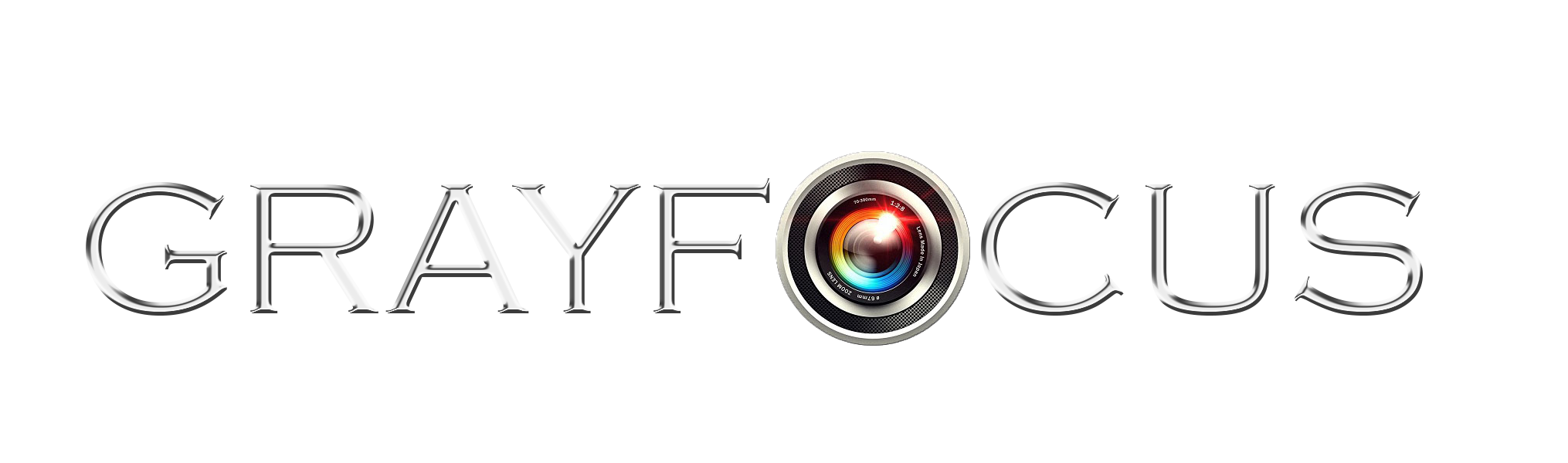 Gray Focus Logo